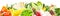 Various Vegetables with Outline on white Background - Panorama Isolated