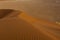 Various Views of Dune 45 in the Namib Desert