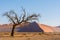 Various Views of Dune 45 in the Namib Desert