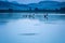 Various water birds sitting on dried branches in the lake. Photographic snapshot, scene from the lake of the city of Ioannina with