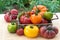 Varitey of Freshly Picked, Home Grown Tomatoes