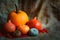 Variuos pumpkins on rustic background