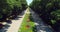 Varna, Bulgaria. Aerial drone view of the city sea garden park with flowers and alleys