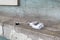 Varna, Bulgaria, March 27, 2020. 200 ml empty plastic vodka bottle on the protruding part of an old building. Alcoholism, poverty