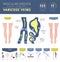 Vascular diseases. Varicose veins symptoms, treatment icon set.