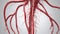 Vascular network in 3D, perfect for medical illustrations