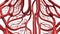 Vascular network, intricate and complex, symbolizing life\\\'s intricate systems