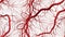 Vascular network, intricate and robust, symbolizing life\\\'s complex beauty