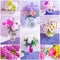 Vase bouquet summer flowers collage