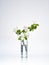 Vase branch apple