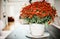 Vase with chrysanthemum on a table in the living room, home interior