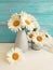 Vase daisy, holiday on a beauty arrangement wooden background