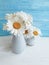 Vase daisy, holiday on a beauty romantic arrangement wooden background