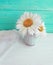 Vase daisy, holiday on a beauty romantic wooden background