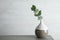 Vase with eucalyptus branch with fresh leaves