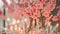 A vase filled with pink flowers and lit candles placed on a table, Japanese cherry blossom themed wedding