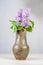 A vase filled with purple flowers