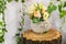 Vase of flowers on a wooden stump. Decoration for the table
