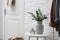 Vase with fresh eucalyptus branches on table in entryway. Interior design