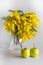 Vase of glass with branches of a mimosa on a white background and apples