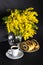 Vase with mimosa, cup of coffee and poppy seed strudel on a black background