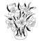 Vase of Narcissus flowers. Daffodil flowerpot. Isolated spring bouquet outline. Black and white vector illustration.