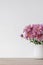Vase with pink daisy flowers bouquet on neutral beige wooden table, empty white plaster wall background, aesthetic