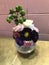 Vase with pretty flowers