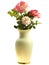 Vase of roses spring flowers
