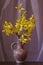 Vase with spring yellow flowers - Forsythia