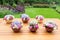 Vases with blooming flowers on teak table