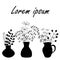 Vases and pitchers with Bouquets of twigs with leaves, herbs . Silhouettes of simple plants, herbarium