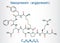 Vasopressin, arginine vasopressin AVP or argipressin molecule. It is antidiuretic hormone ADH synthesized as a peptide prohormone