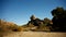 Vasquez Rocks