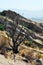 Vasquez Rocks Natural Area, Canyon Country