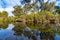 Vasse-Wonnerup wetlands, the Lower Vasse River is made up of the Vasse and Wonnerup estuaries