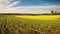 Vast Agricultural Field Panorama Painting the Landscape. Generative AI