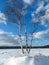 Vast countryside expanse, covered by abundant snow blanket under cloudy blue sky.