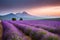 A vast and endless field of lavender in full bloom, stretching to the horizon