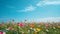 A vast field of blooming wildflowers stretching to the horizon