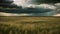 a vast field of grass stretching out under a dramatic cloudy sky The wind gently rustles the grass as storm clouds loom overhead,