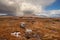 Vast field with rocks and fern and rain over mountains in the background. Nature scene in Connemara, county Galway, Ireland. Irish