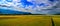 The vast golden rice fields and the distant mountains and clouds