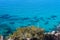 Vast gorgeous clear blue lake water with lush green plants and rocks on the banks of the lake at Lake Tahoe