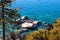 Vast gorgeous clear blue lake water with lush green plants and rocks on the banks of the lake at Lake Tahoe