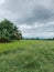 Vast grassland. clound rain