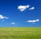 Vast green grass field and blue sky eco-friendly c