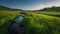 A vast green grass meadow with a winding river