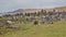 Vast hilly landscape in the Mongolian steppe