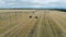 Vast meadow with growing crops and a sprinkler system installed in it